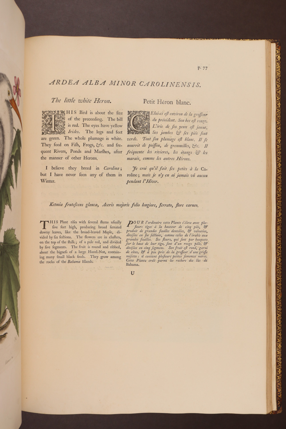 Page 77
